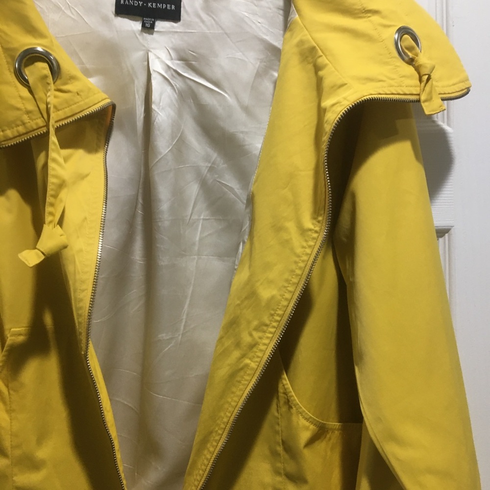 Yellow jacket - Picture 3 of 5